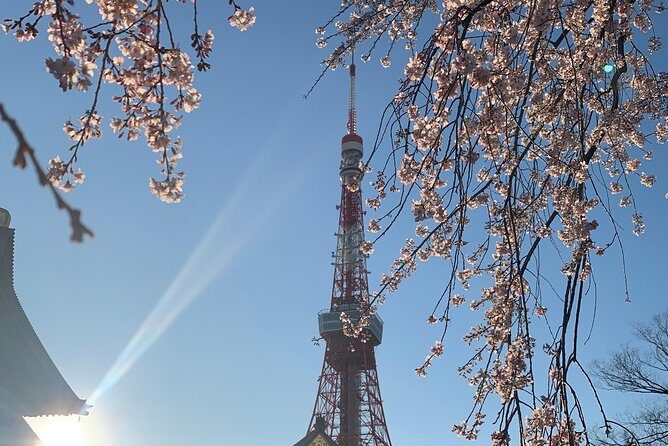 private-custom-tour-tokyo-in-a-day11