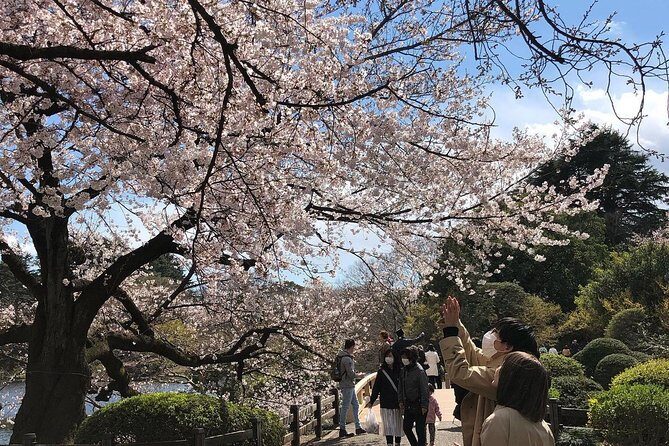 private-custom-tour-tokyo-in-a-day9