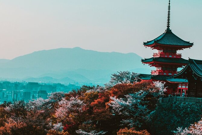 Private Custom Tour With a Local Guide Kyoto