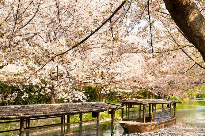 Private Full-Day Hakone and Mt. Fuji Tour With Bilingual Driver - Experience the Thrill of the Hakone Ropeway to Owakudani