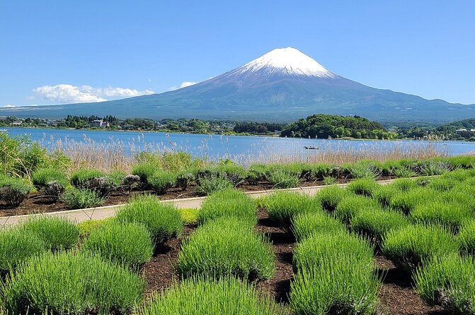 Private Full-Day Mt Fuji Hakone Tour English Driver Guide by Car - Cancellation Policy
