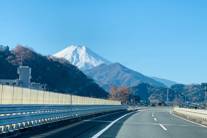 Private Full-Day Mt Fuji Hakone Tour English Driver Guide by Car - Frequently Asked Questions
