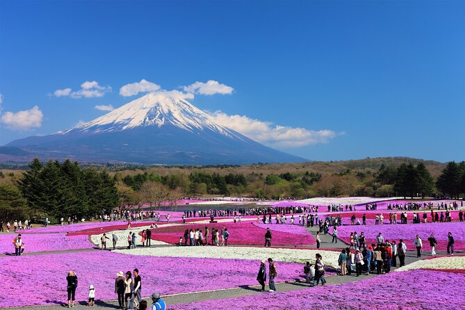 Private Full-Day Mt Fuji Hakone Tour English Driver Guide by Car - Tour Highlights
