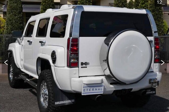 Private Full-Day Mt Fuji Hakone Tour English Driver Guide by Car - The Sum Up