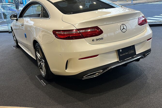 Private Full-Day Mt Fuji Hakone Tour English Driver Guide by Car - Mt. Fuji Tour With Abdul