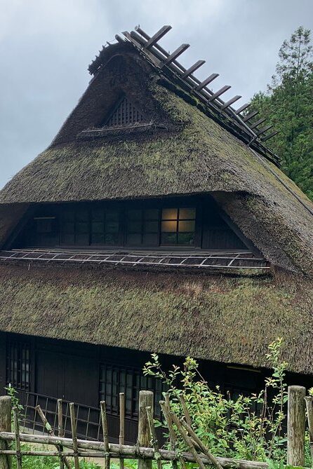 private-full-day-sightseeing-tour-to-mount-fuji-and-hakone-guide3