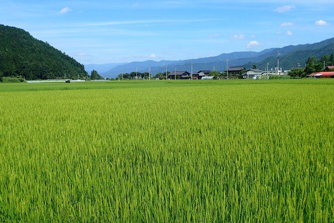 private-group-morning-cycling-tour-in-hida-furukawa3