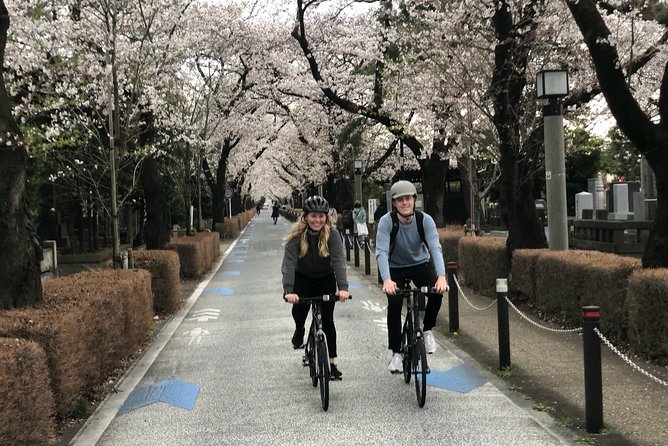 Private Half Day Cycle Tour Of Central Tokyo