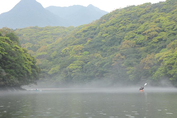 Private Half-Day Kayaking Trip on Kyushu’s Anbo River In Kagoshima Prefecture