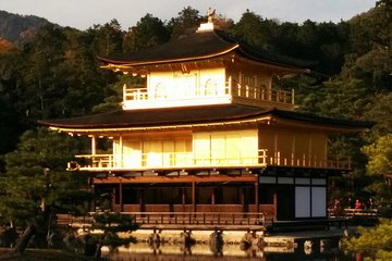 Private Highlights of Kyoto Tour - Cancellation Policy