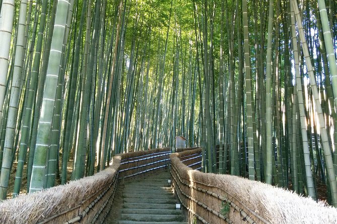 Private Highlights of Kyoto Tour - Private Tour Option