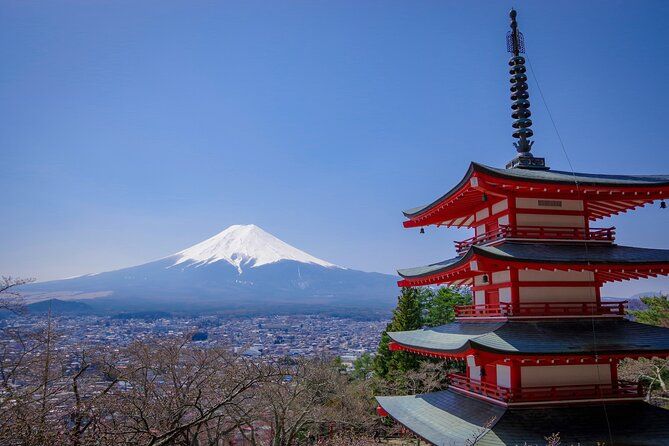 Private Mount Fuji Tour Bilingual Chauffeur