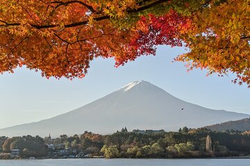 Private Mt Fuji And The Gotemba Outlet In One Day From Tokyo