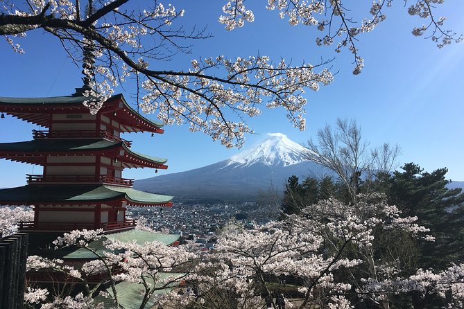 Private Mt Fuji And The Gotemba Outlet In One Day From Tokyo