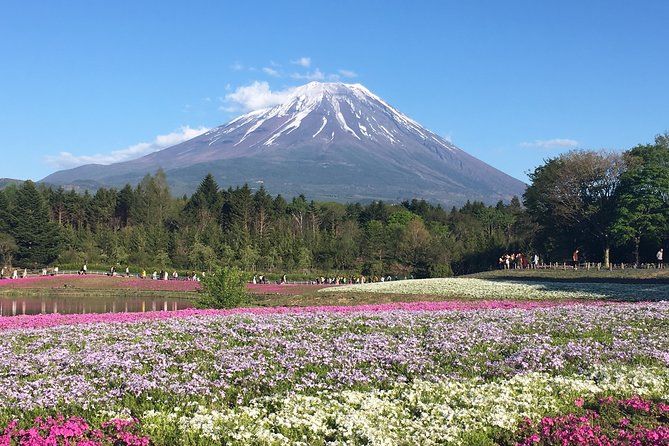 Private Tour Chartered Car To Mt Fuji And Hakone Lake Ashi