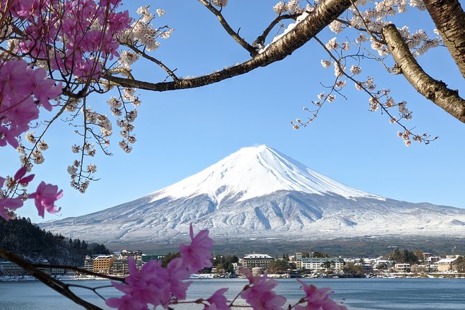 Private Tour Chartered Car To Mt Fuji And Hakone Lake Ashi Tokyo