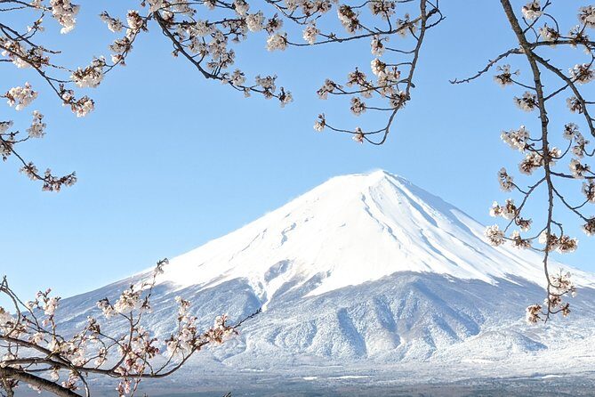 private-tour-chartered-car-to-mt-fuji-lake-kawaguchiko-or-hakone-and-lake-ashi11