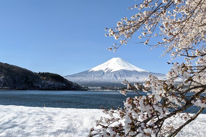 private-tour-chartered-car-to-mt-fuji-lake-kawaguchiko-or-hakone-and-lake-ashi12