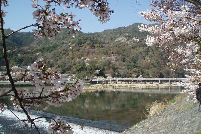 private-walking-tour-in-bamboo-forest-hidden-spots-in-arashiyama5