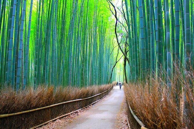 private-walking-tour-in-bamboo-forest-hidden-spots-in-arashiyama6