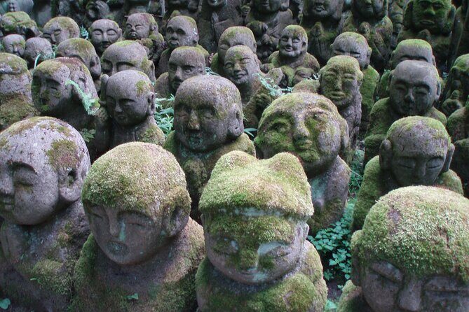 private-walking-tour-in-bamboo-forest-hidden-spots-in-arashiyama7