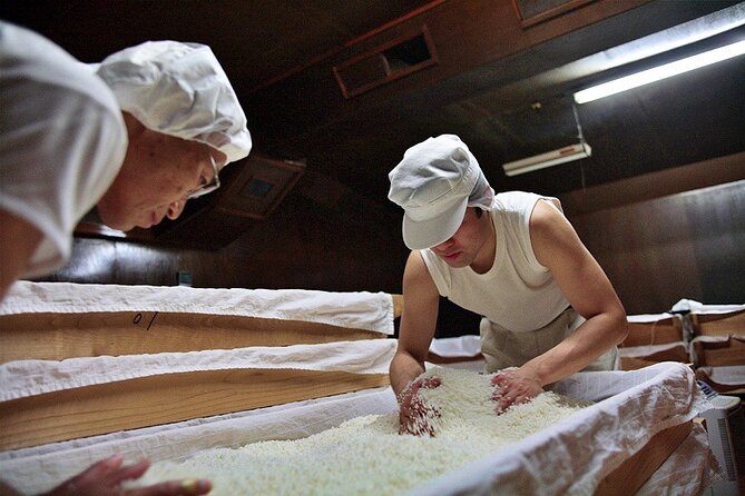 Sake Brewery Visit and Tasting Tour in Hida - Immersive Experience at the Sake Brewery