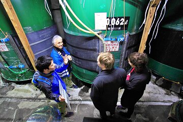 Sake Brewery Visit and Tasting Tour in Hida - Step-by-Step Process of Sake Making
