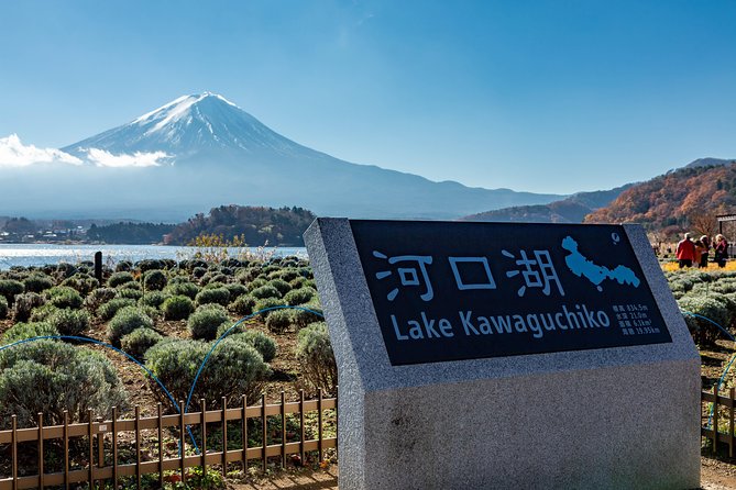 Scenic Spots of Mt Fuji and Lake Kawaguchi 1 Day Bus Tour - English and Chinese Commentary on the Bus