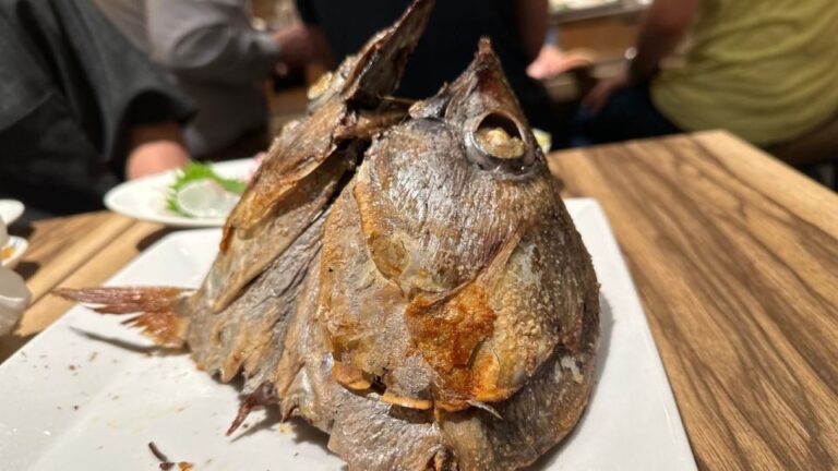 Shinjuku【A Place Only Locals Know】 Bar Hopping/Pub-Crawl