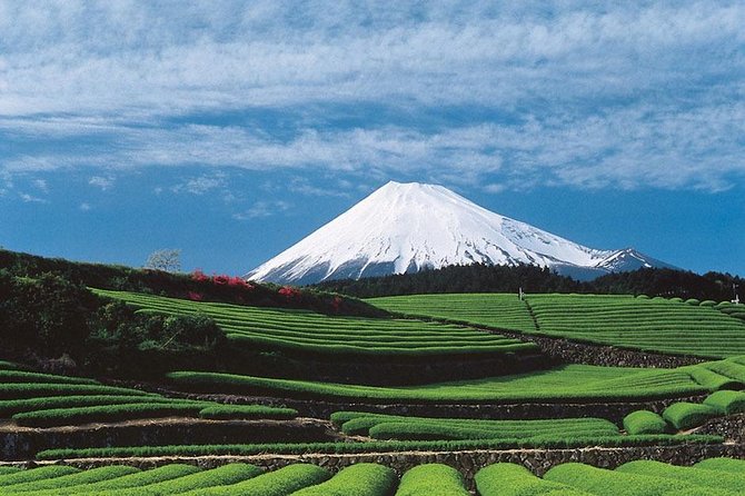 Shizuoka Shimizu Mt Fuji View Hr Private Tour Guide Only