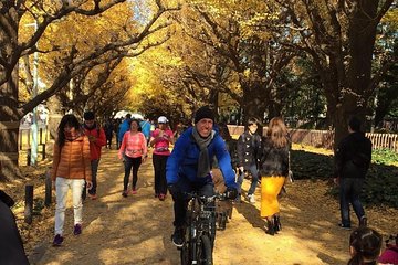 Small Group Cycling Tour in Tokyo - Experience the Thrill of Night Cycling in Tokyos Electric City