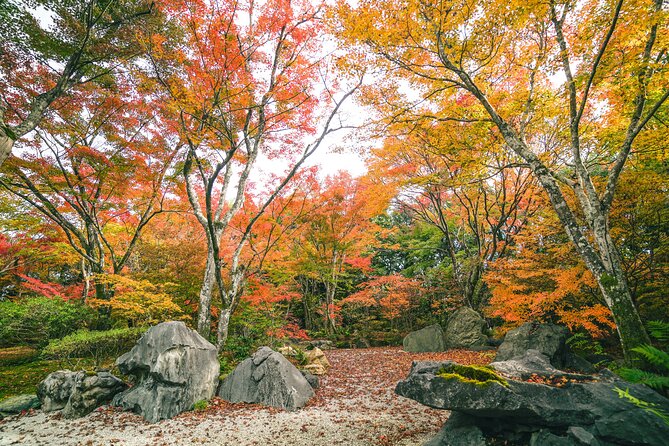 Small-Group Walking Tour With Kyoto-Style Lunch, Arashiyama