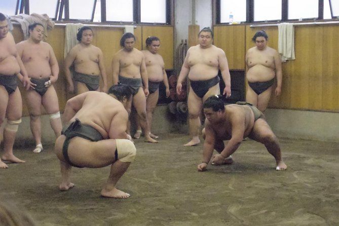 Sumo Morning Practice Tour At Stable In Tokyo