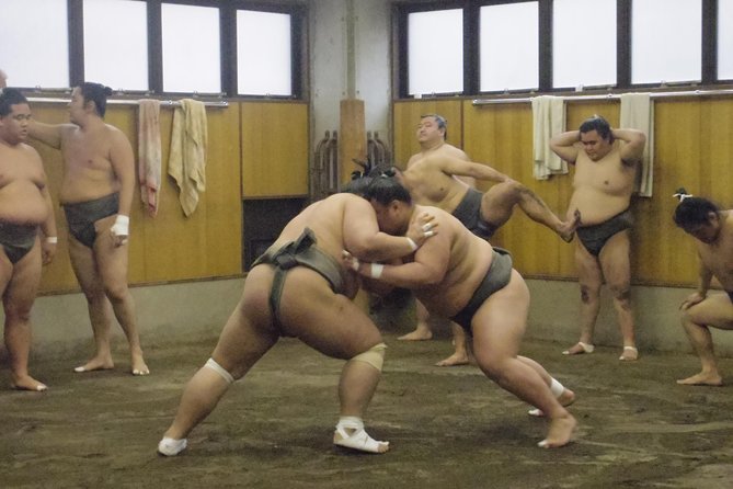 Sumo Morning Practice Tour at Stable in Tokyo - Tour Details and Information