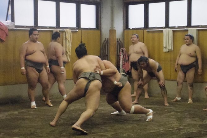 Watch Sumo Morning Practice Tour At A Sumo Stable In Tokyo