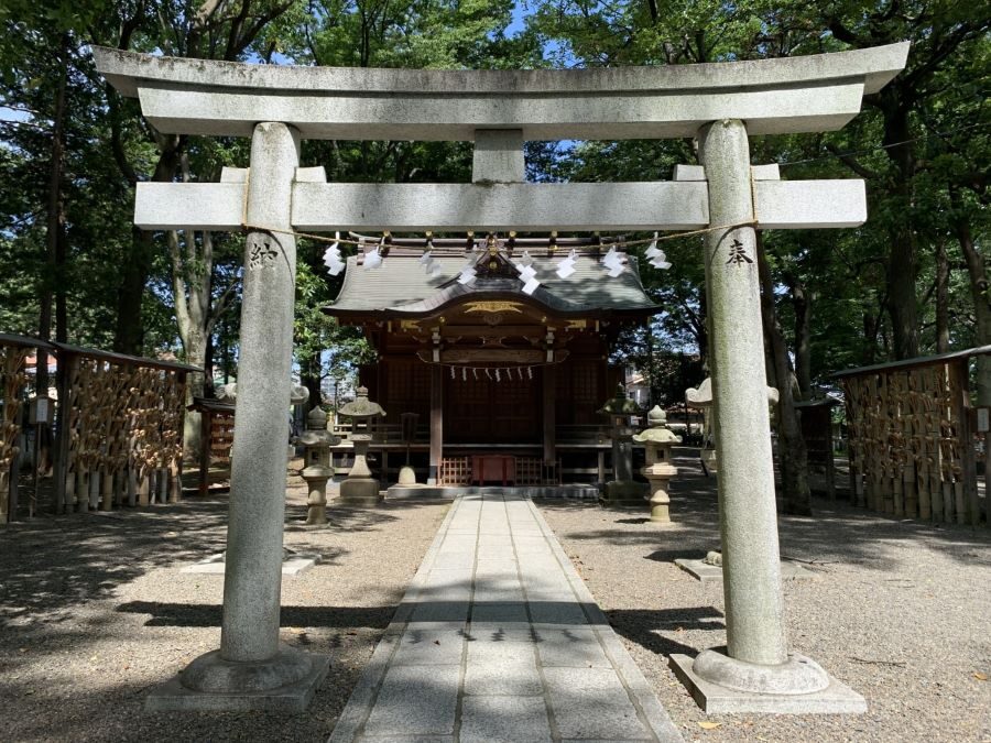 Sushi Making Class Taught By A Professional Master Sushi Chef And Sake Tasting Tour