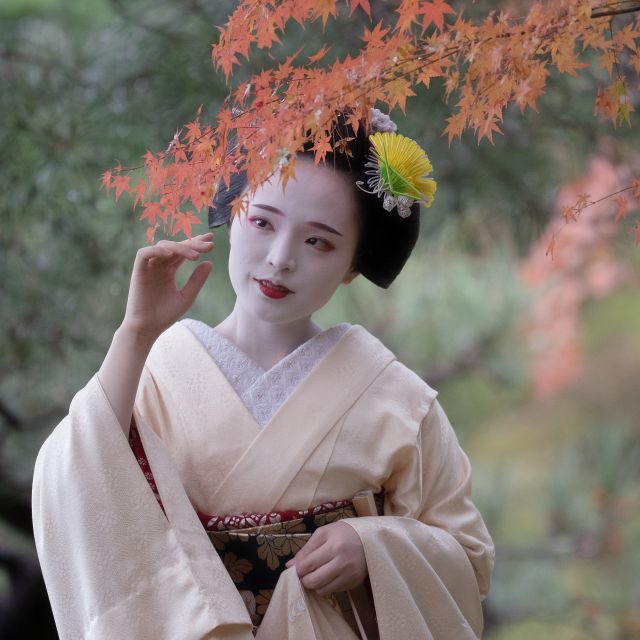 The BEST Kyoto Tours and Things to Do in  – FREE Cancellation