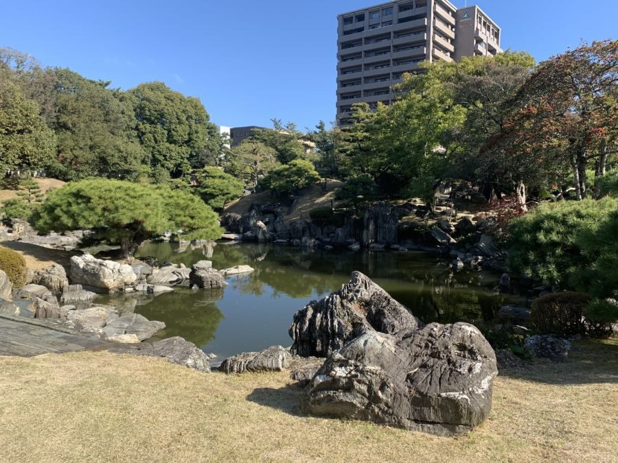 Tokushima Awa Odori Experience Tour