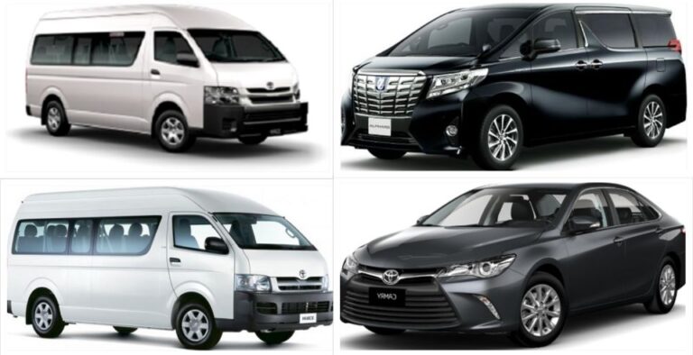 Tokyo: 1-Day Private Customizable Tour by Car
