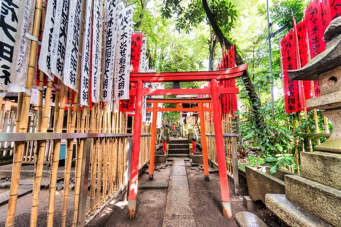 tokyo-bike-tour-with-meiji-jingu-shrine-aoyama-cemetery7