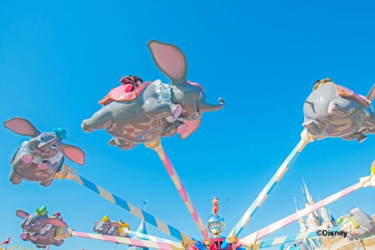 Tokyo Disneyland 1-Day Passport