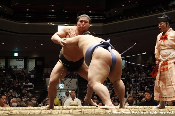 Tokyo Grand Sumo Tournament Viewing Tour