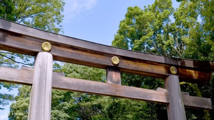 Tokyo Highlights Private Day Tour Klook