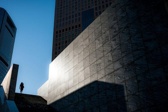 Tokyo Metropolis Small-Group Photography Tour - Reasons to Choose This Tour: Tokyos Architecture and Hidden Gems