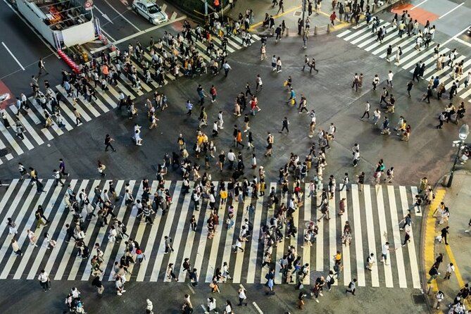 Tokyo Private And Personalized Tour