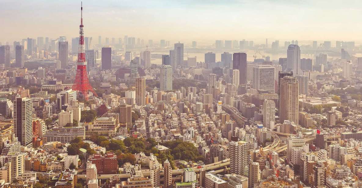 Tokyo: Private Customizable Day Tour of Tokyo - Quick Takeaways