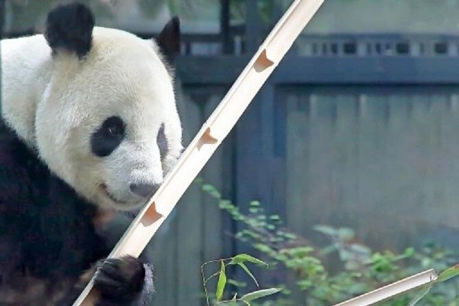 tokyo-private-customized-city-tour4