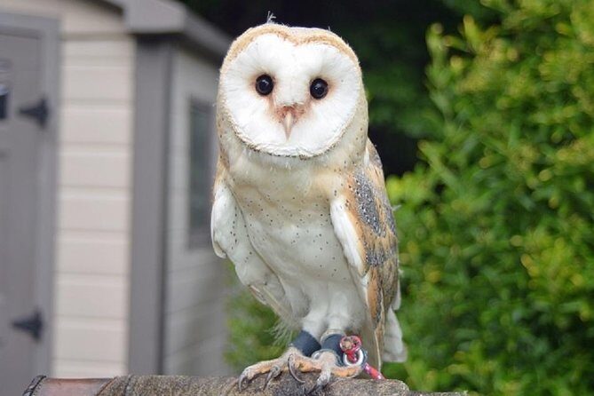 tokyo-private-customized-city-tour8