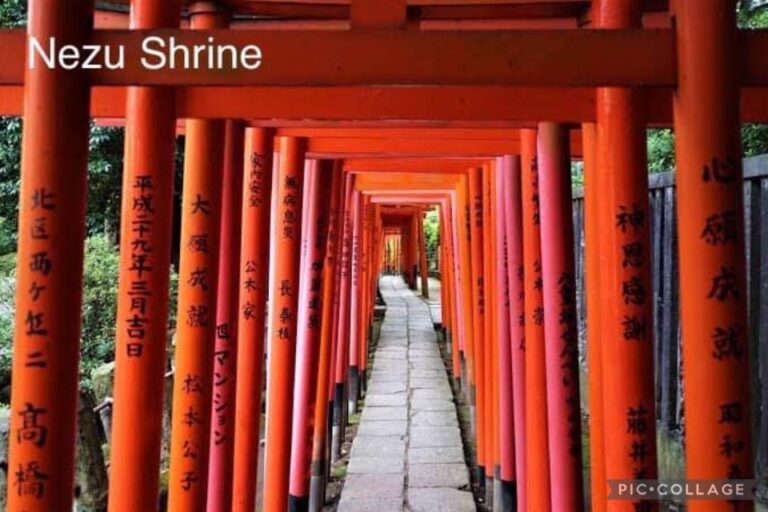 Tokyo: Private Full Day Sightseeing Tour