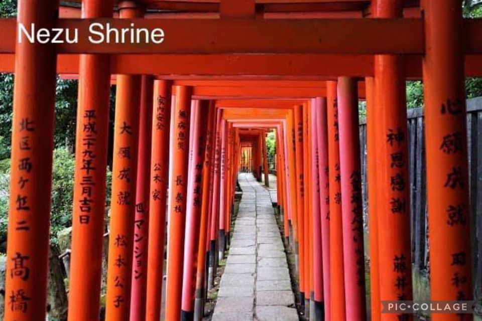 Tokyo: Private Full Day Sightseeing Tour - Quick Takeaways